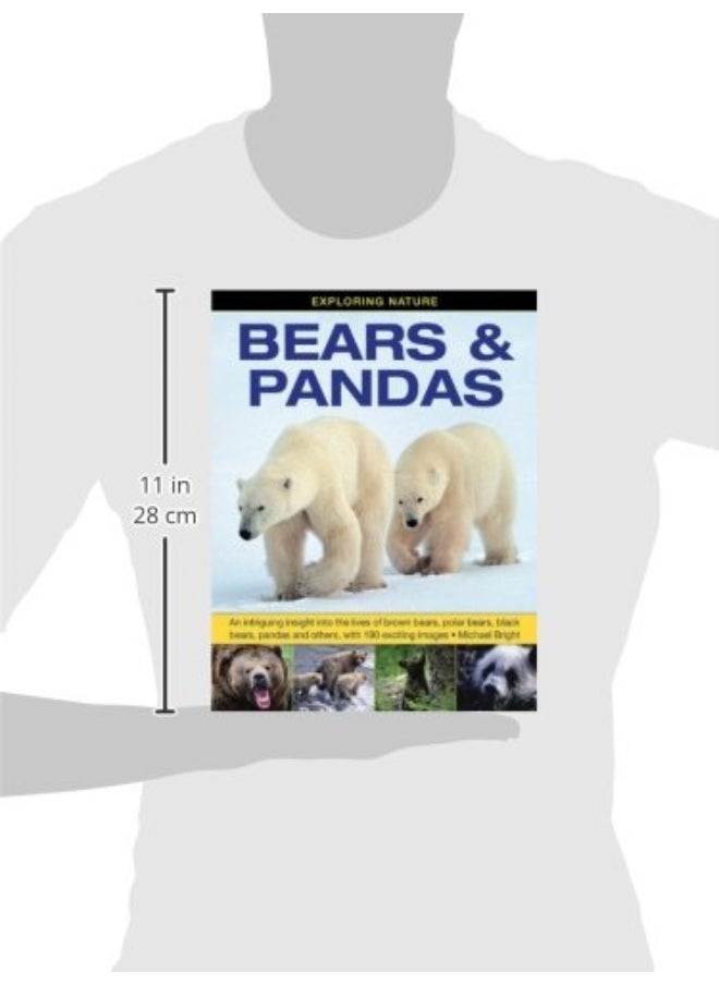 null - Exploring Nature: Bears & Pandas: An Intriguing Insight into the Lives of Brown Bears, Polar Bears, Black Bears, Pandas and Others, with 190 Exciting Images - Image 1