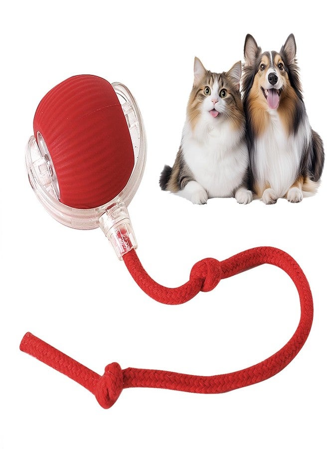 NEYSXYU Interactive Cat Toys Ball,Movable Cat Toys, Smart 360° Automatic Rolling Pet Ball, USB Rechargeable, Ideal Pet Gift, Relieves Boredom for Indoor Cats - Image 1