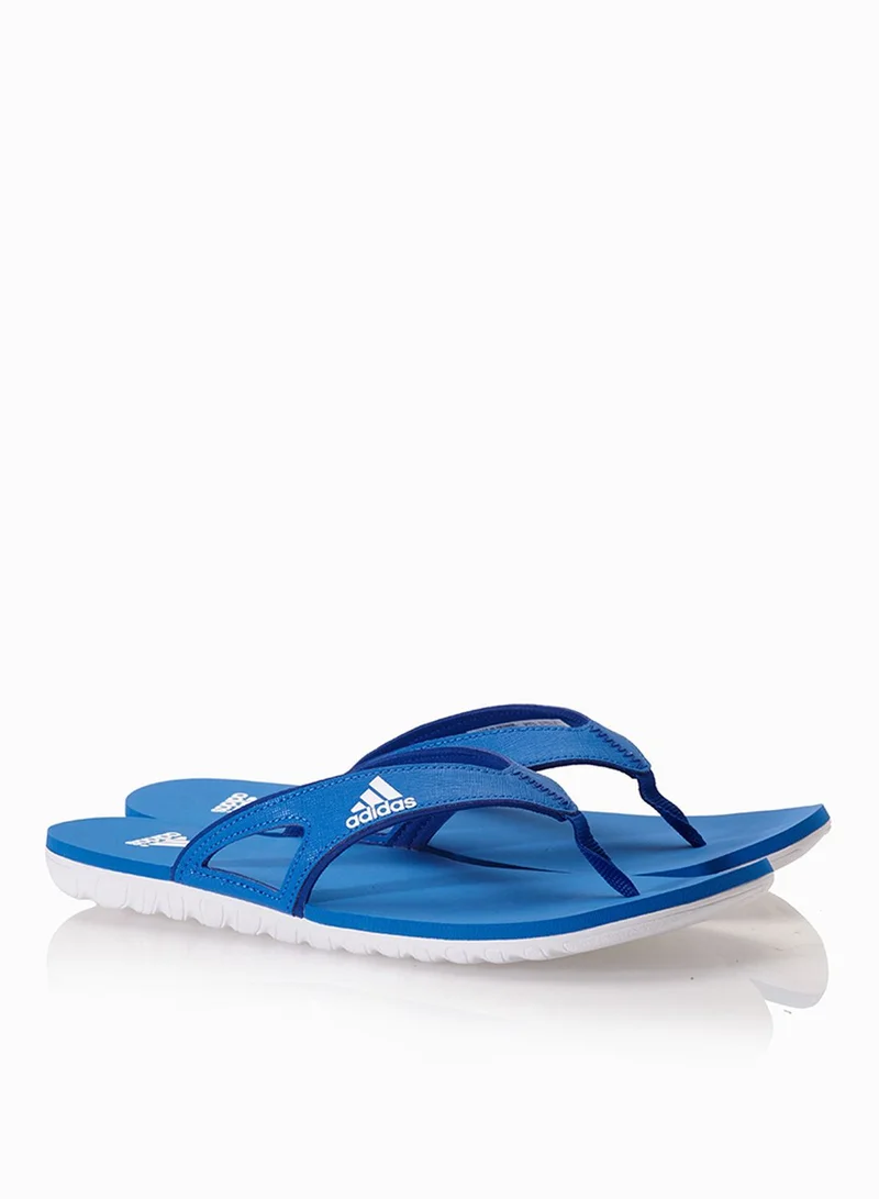 Adidas Calo 5 M