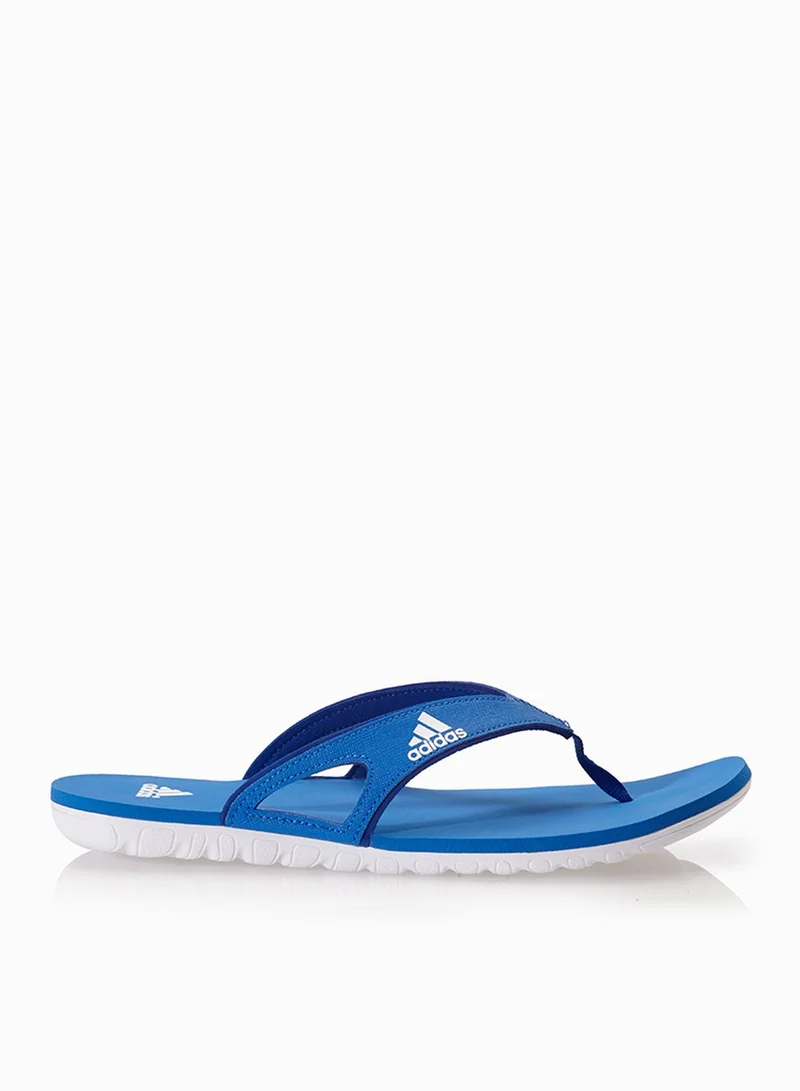 Adidas Calo 5 M