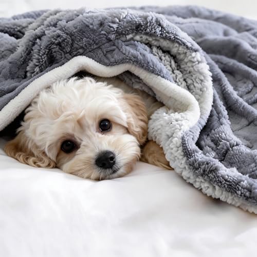 PAJEO Sherpa Blanket for Bed - Fleece Soft Cozy Fuzzy Blankets Thick Warm for Winter and All Seasons(Dark Gray,Full(80"x90")) - Image 3