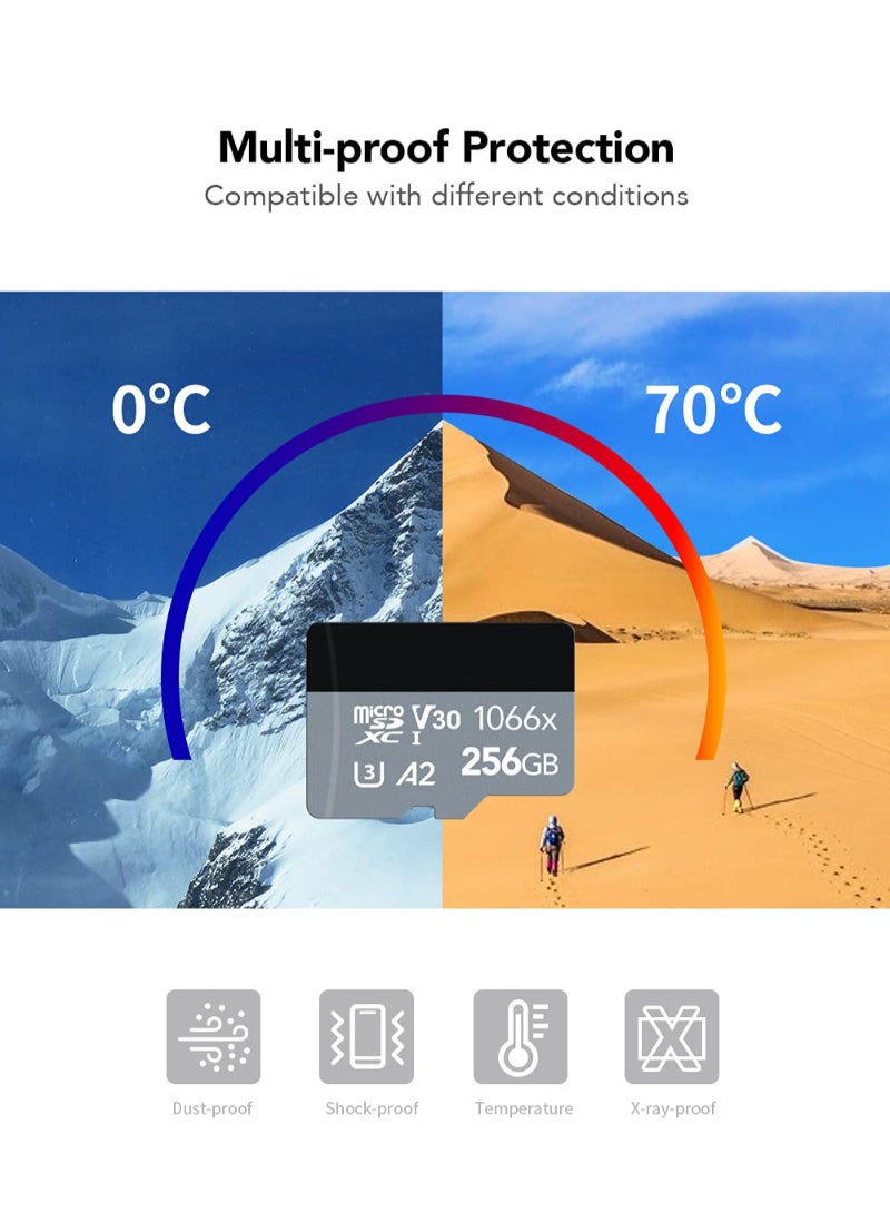 Professional 1066X 256Gb Microsdxc Uhs-I Card With Sd Adapter Silver Series Up To 160Mb/S Read For Action Cameras Drones High-End Smartphones And Tablets - Image 2