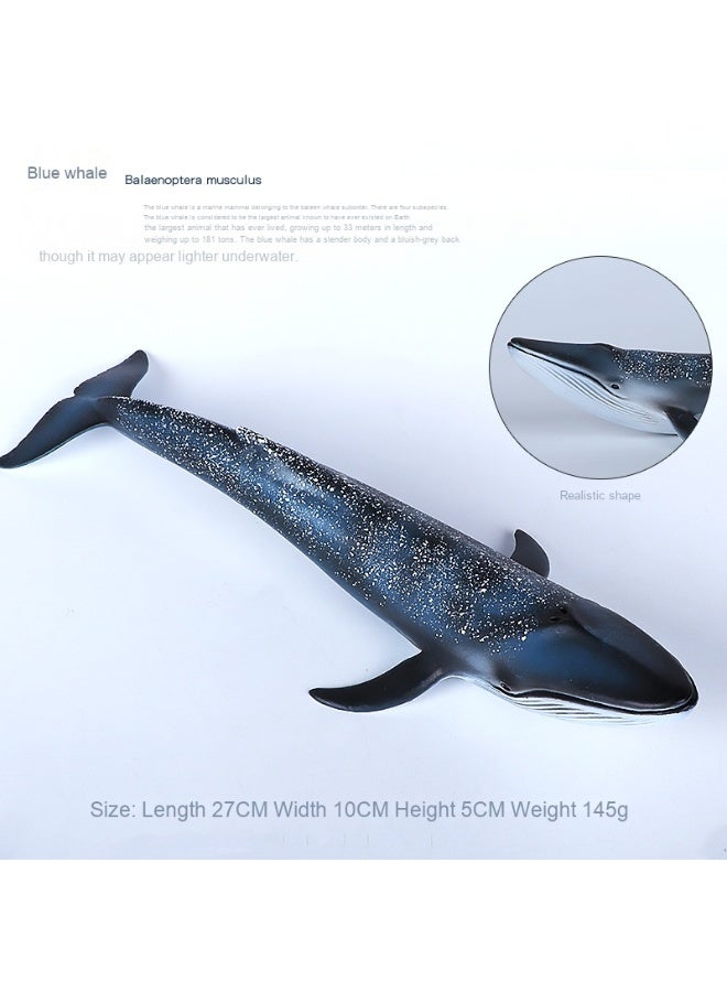 NIBEMINENT Realistic Blue Whale Animal Model Toy
