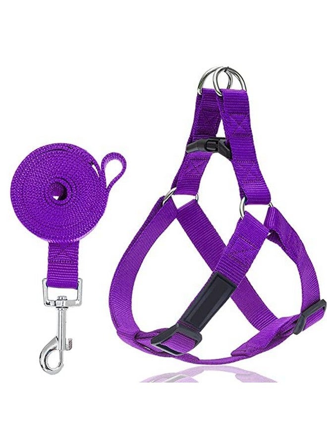 مجموعة مقود نايلون قابل للتعديل مع حزام للجراء مقاس 0.5 بوصة للكلاب الصغيرة والمتوسطة الحجم - 15 مم (لون أرجواني) - Image 1