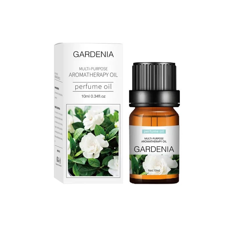 زيت اللافندر العطري القابل للذوبان في الماء 10 مل زيت عطر اللافندر للعلاج بالروائح - Image 1
