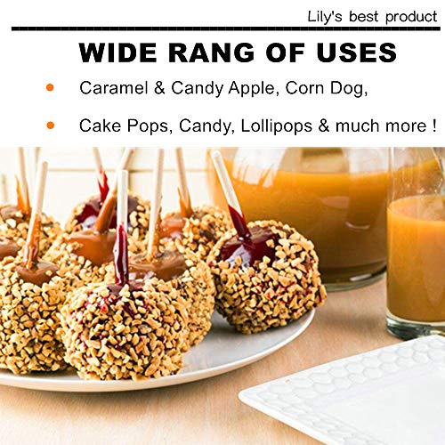 HOPELF 5.5 inch Semi Point Bamboo Skewers - 5mm Thick Natural Bamboo Sticks For BBQ Caramel,Candy Apple Sticks, Corn Dog,Corn Cob,Cookie,Lollipop,Kabob,Gril.(100 pcs) - Image 4