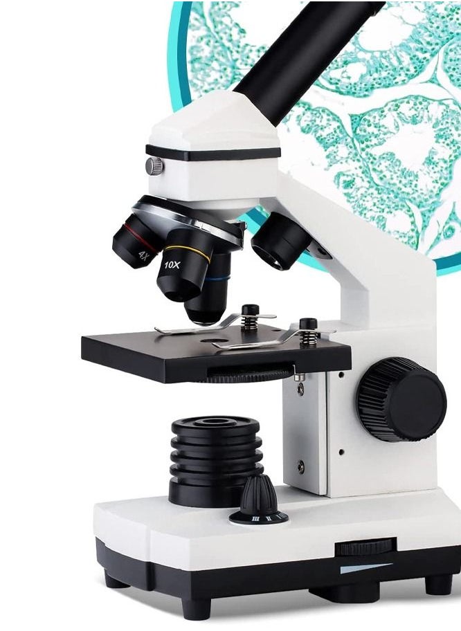 MARGOUN - Microscope Compound Monocular Microscope 40X-2000X for Kids Students and Adults - Image 1
