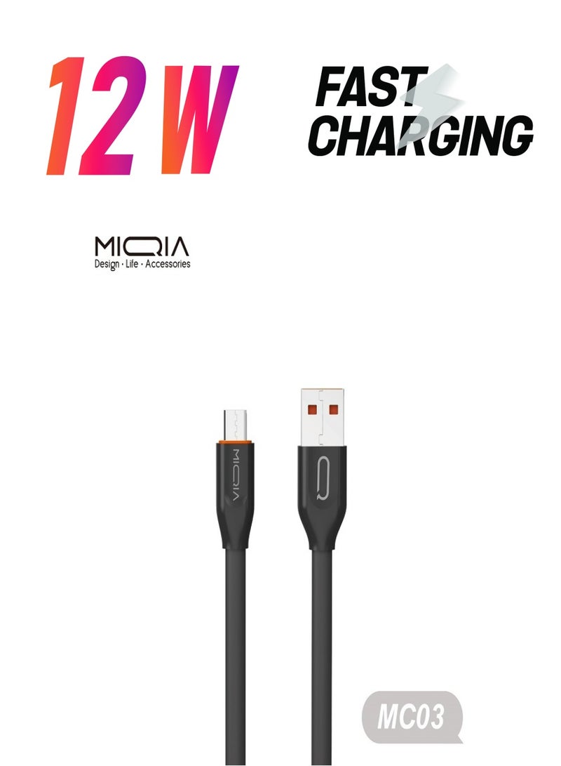 2.4A Flat Cable Black 1m