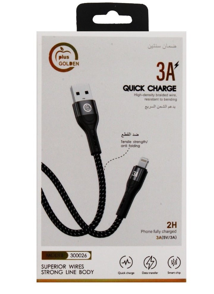 Golden Apple - Fast lightning USB charger from GOLDEN APPLE - Image 1