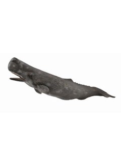 Collecta - Sperm Whale - 88835 - pzsku/Z6E58A9585E6BBF1E8C86Z/45/_/1730797585/ef84f7b3-72b3-4a8c-8885-be015b36e839