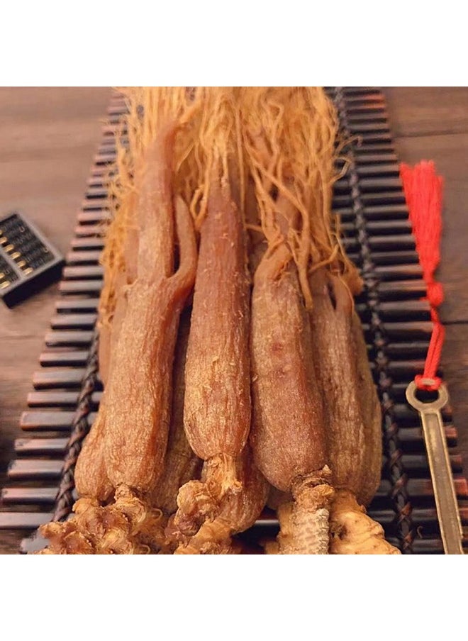 Red Ginseng Root,Red Ginseng Korea,Red Ginseng Tea Korean Red Ginseng Root,Organic Red Korean Ginseng Root,Red Ginseng Root 16 Years Radix Ginseng (250 g(0.55 Pound))