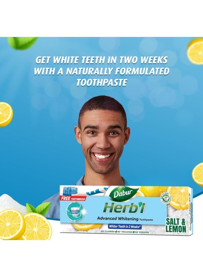 دابر معجون أسنان دابر بالأعشاب لتبييض الأسنان الطبيعي (2 × 150 غرام + فرشاة أسنان) | غني بالملح والليمون | لأسنان لامعة ناصعة البياض | عبوة اقتصادية - Image 3