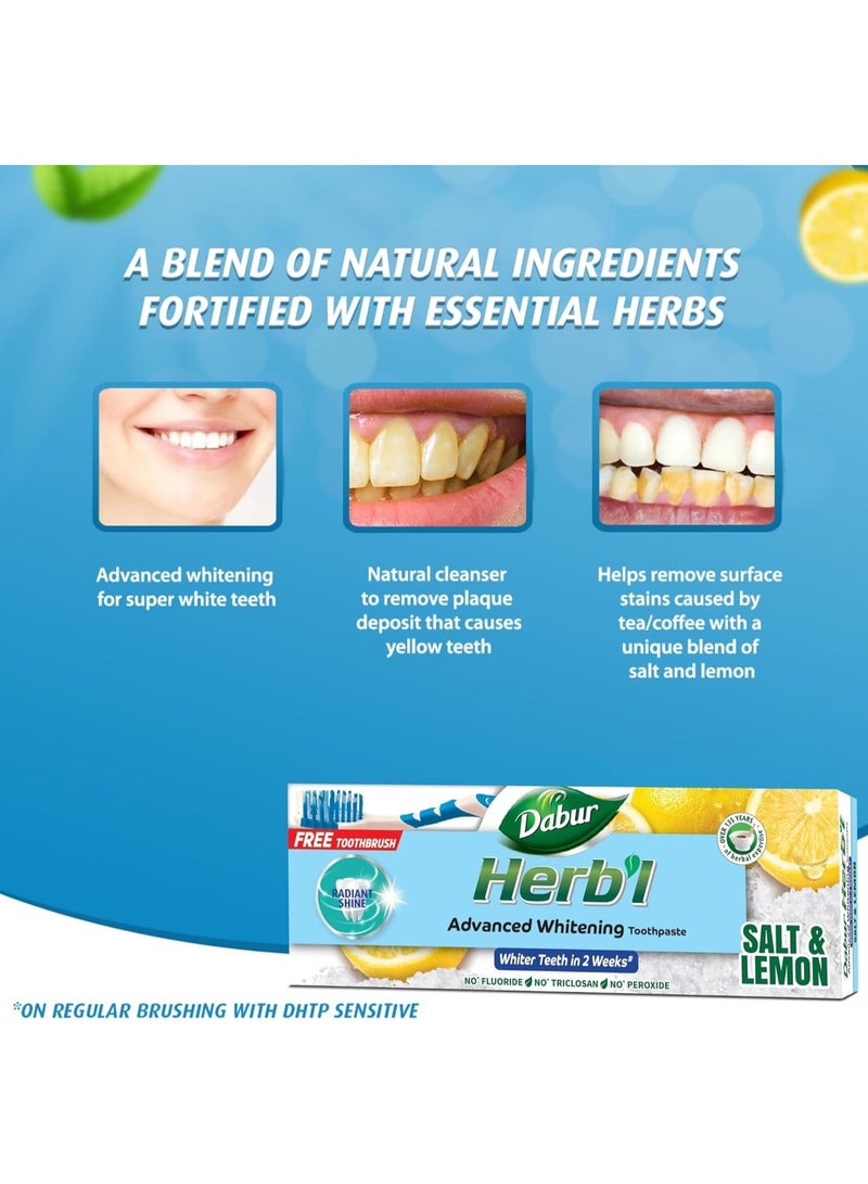 دابر معجون أسنان دابر بالأعشاب لتبييض الأسنان الطبيعي (2 × 150 غرام + فرشاة أسنان) | غني بالملح والليمون | لأسنان لامعة ناصعة البياض | عبوة اقتصادية - Image 4