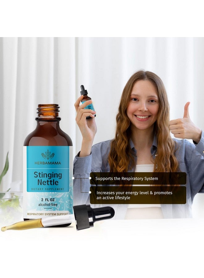 HERBAMAMA Stinging Nettle Root Tincture Organic Stinging Nettle Root Liquid Extract Urtica Dioica Herbal Drops Supplement 2 Fl Oz - Image 4