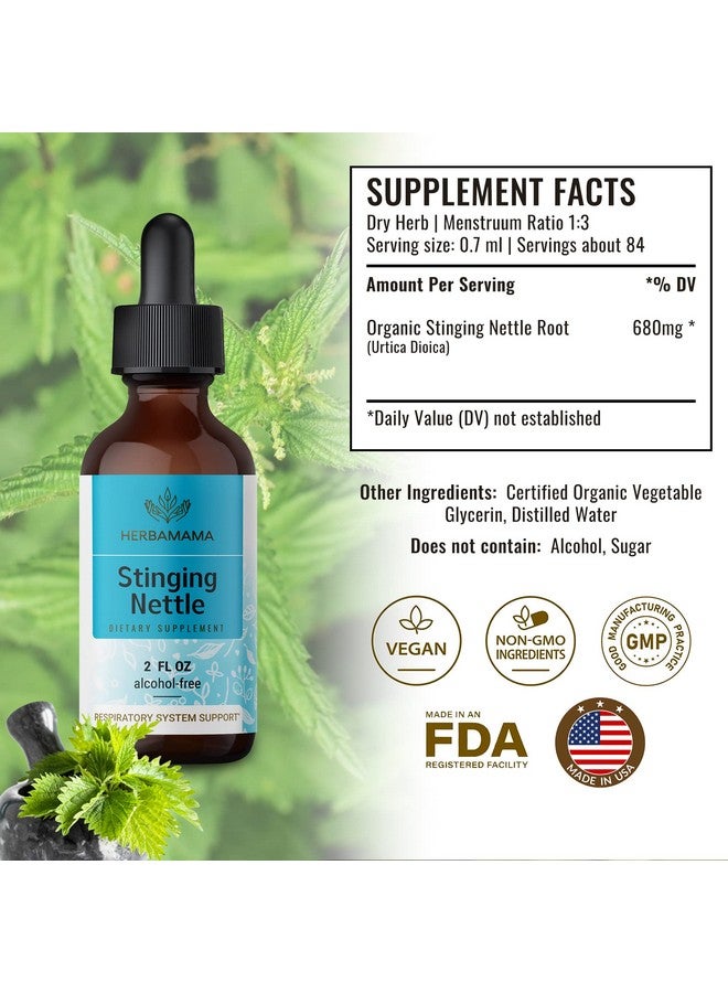 HERBAMAMA Stinging Nettle Root Tincture Organic Stinging Nettle Root Liquid Extract Urtica Dioica Herbal Drops Supplement 2 Fl Oz - Image 3