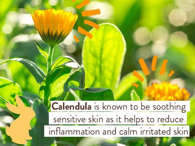 Babo Botanicals Moisturizing Oat & Calendula Body Lotion - For Dry or Sensitive Skin - For all ages - Vegan - Lightly Scented - Image 4