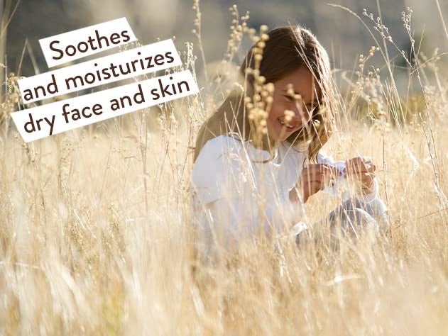 Babo Botanicals Moisturizing Oat & Calendula Body Lotion - For Dry or Sensitive Skin - For all ages - Vegan - Lightly Scented - Image 3