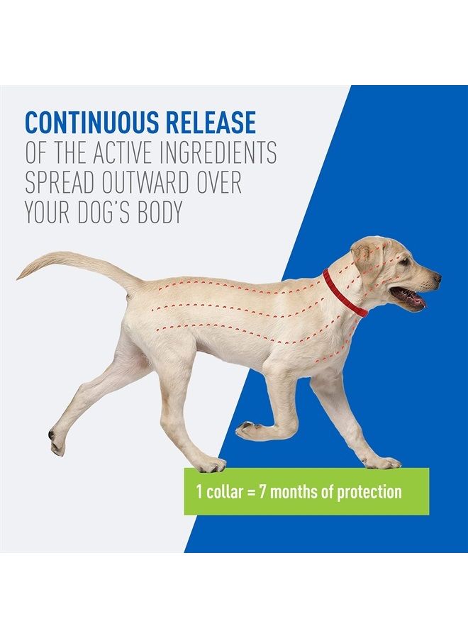 Flea & Tick Control Collar for Dogs, 7-Month Protection, Adjustable One Size Collar Fits All, Kills and Repels Fleas, Ticks, Flea Eggs & Flea Larvae