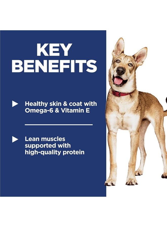 هيلز ساينس دايت للبالغين من عمر 1 إلى 6 سنوات، تغذية ممتازة للبالغين من عمر 1 إلى 6 سنوات، طعام جاف للكلاب، دجاج وشعير، كيس 5 أرطال - Image 3