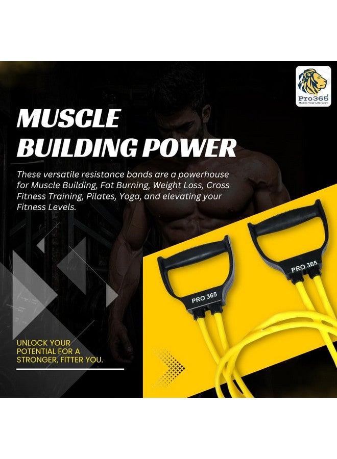 PRO365 Resistance Band 30 Kg | Compound Solid Handles | Double Toning Tube | 6 Months Warranty | Toning Bands | Exercise Bands | Home Gym Bands | Physiotherapy Equipment - Image 3