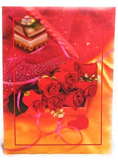 Generic Leepakshi Enterprises Natraj Slip in Album 5 x 7 72 photo 06 mm thick extra clear PVC Film Supported size 5 x 7 inch 72 Pocket Album  - Image 3
