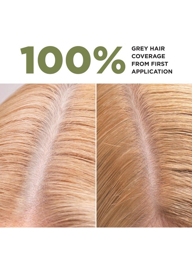 Lazartigue Lazartigue La Couleur Absolue 7.30 Golden Blond - Permanent Haircolour with Botanical Extracts - Nourishing Color and Shine - Free From Ammonia, PPD, Resorcinol, Mineral Oils and Silicone - Vegan  - Image 2