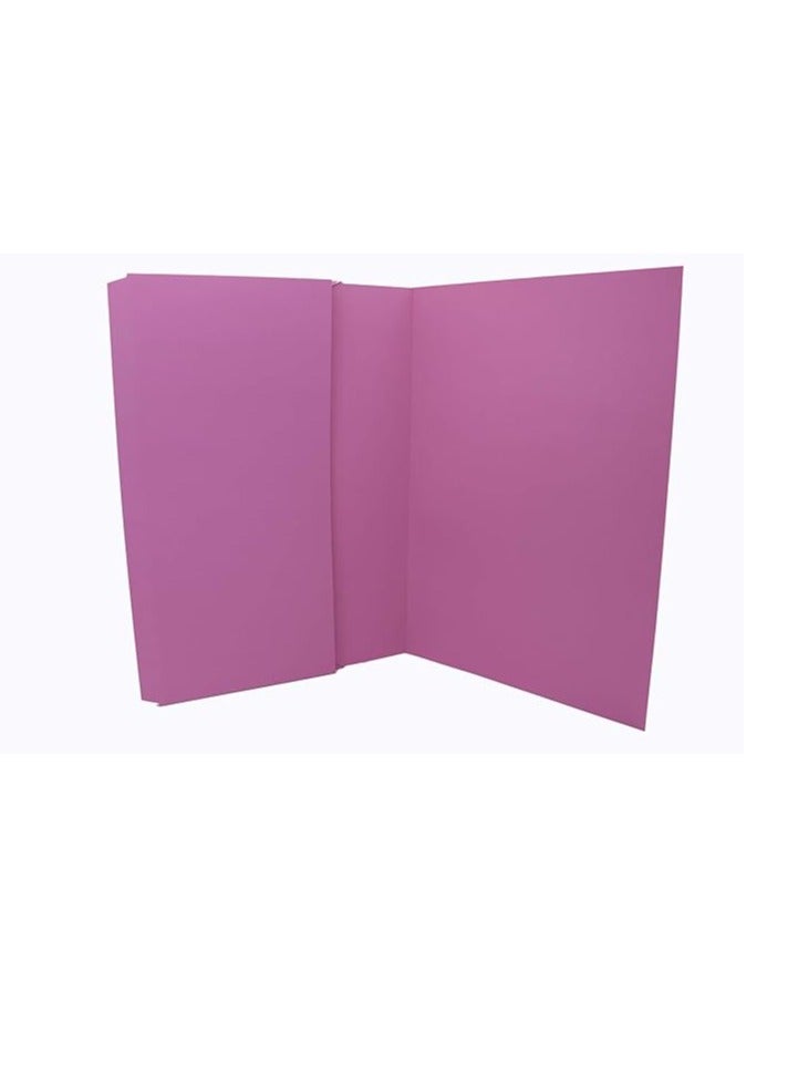 موديست مجلد محفظة مستندات مكون من 20 قطعة F4 300gsm غطاء كامل/غطاء قابل للطي، لون وردي - Image 2