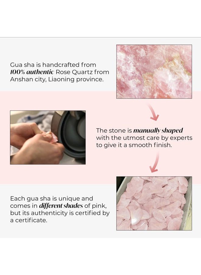 Plantifique - Rose Quartz Gua Sha Tool – Anti-Aging Face Massager & Jawline Shaper for Skincare Routine – Facial Massage & Skin Care Gift - Image 1