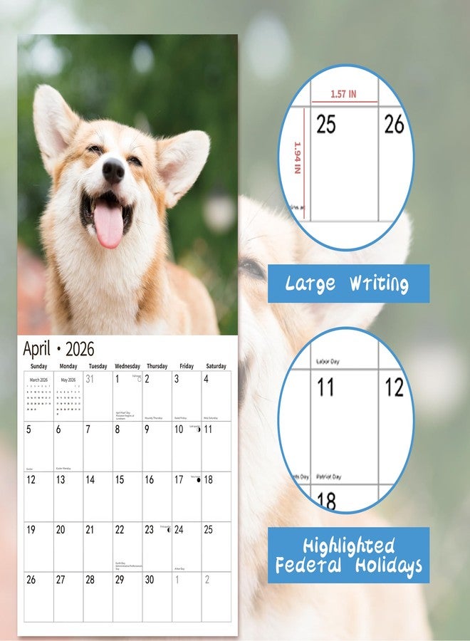 windrio 2026 Wall Calendar, November 2025 - December 2026, Wall Calendar Corgis, 12" x 24" Opened,Full Page Months Thick & Sturdy Paper for Calendar Organizing & Planning - Image 3