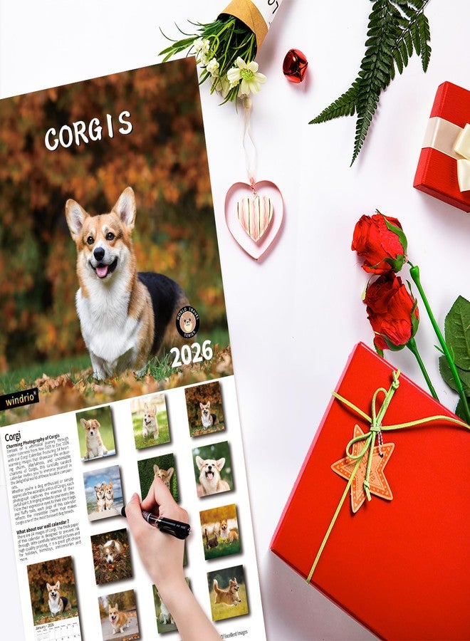 windrio 2026 Wall Calendar, November 2025 - December 2026, Wall Calendar Corgis, 12" x 24" Opened,Full Page Months Thick & Sturdy Paper for Calendar Organizing & Planning - Image 5