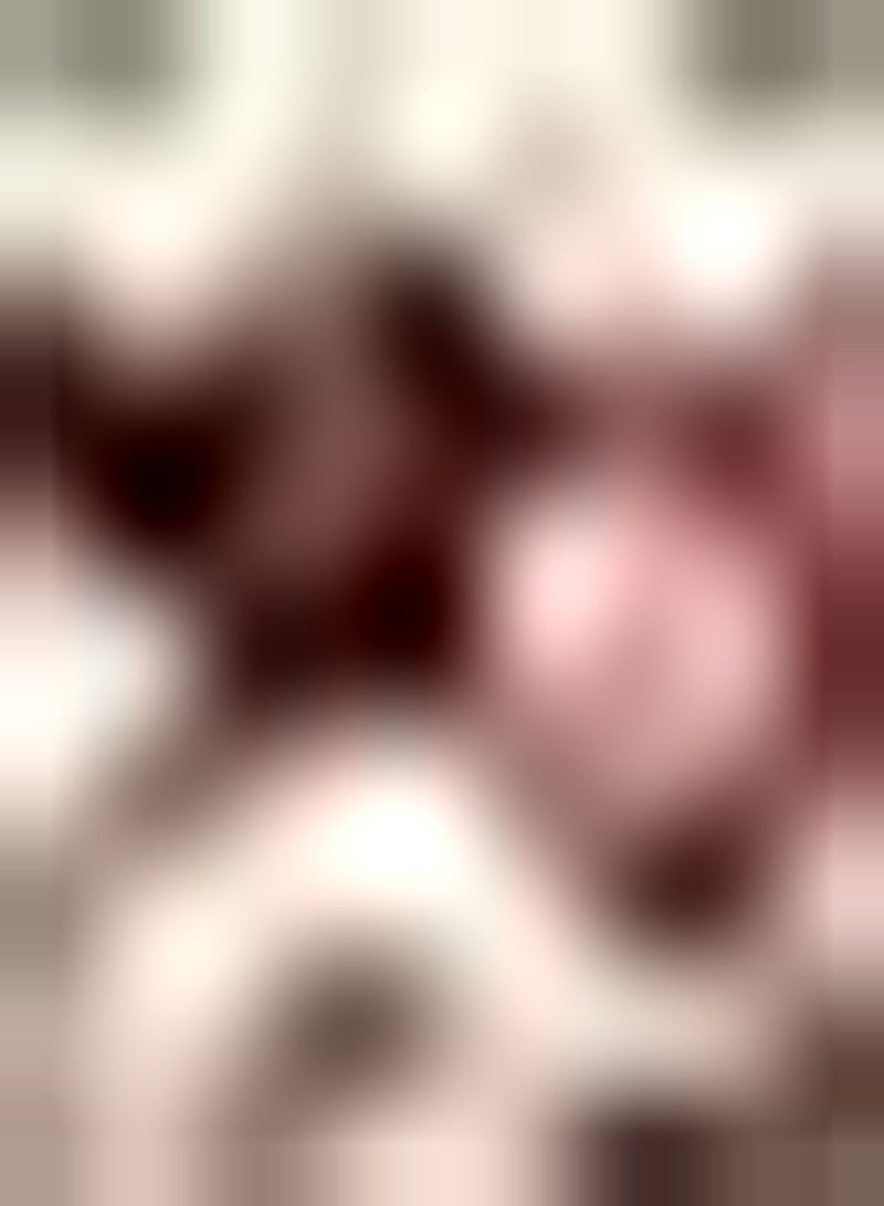 GGOOT Bellis Carpet Mxd Approx. x100 Seeds Easy and Fast to Grow