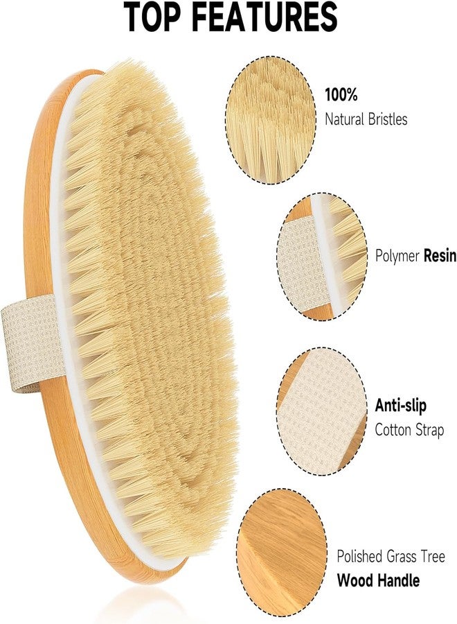 eHomeA2Z Dry Brushing Body Brush Exfoliating Brush Natural Bristle bath Brush for Remove Dead Skin Toxins Cellulite,Treatment,Improves Lymphatic Functions,Exfoliates,Stimulates Blood Circulation (oval) - Image 2