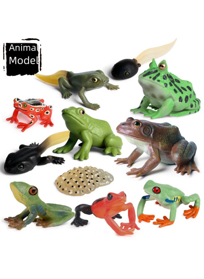 Children's Cognitive Simulation Solid Animal Model Frog Bullfrog Tree Frog Bullfrog Horn Frog Frog Frog Toad Toy Ornaments-Color:ZZ Medium Insect Model 12 Sets - Image 2