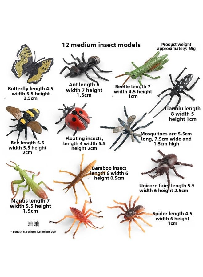 Children's Cognitive Simulation Solid Animal Model Frog Bullfrog Tree Frog Bullfrog Horn Frog Frog Frog Toad Toy Ornaments-Color:ZZ Medium Insect Model 12 Sets - Image 1