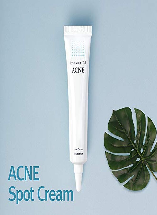 Pyunkang Yul Acne Spot Cream Acne Skin Care Spot Treatment For Face Rapid Alleviation Of Skin Troubles Salicylic Acid Bha Natural Ingredients From Oriental Medicine Minimize Pores 05 Fl Oz - Image 5