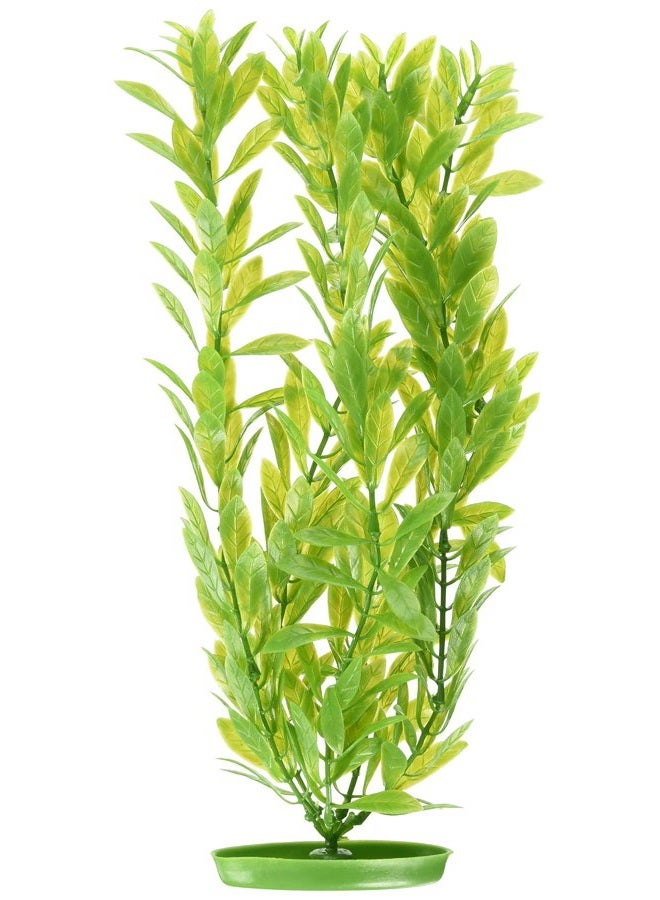 Aquascaper Fish Tank Decorations, Hygrophila Plant, 15-Inch
