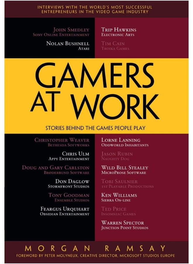 Gamers at Work: Stories Behind the Games People Play 