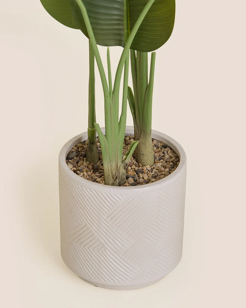 REDTAG Artificial Banana Tree In Ceramic Pot 125cm