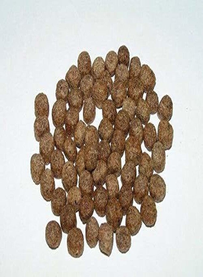 Hallofeed Fisher Men Hallofeed Hi-Red Dried Fish Food: Tailored for All Adult Stages of Every Fish Species, Enhancing Growth and Development | 100g - Image 2
