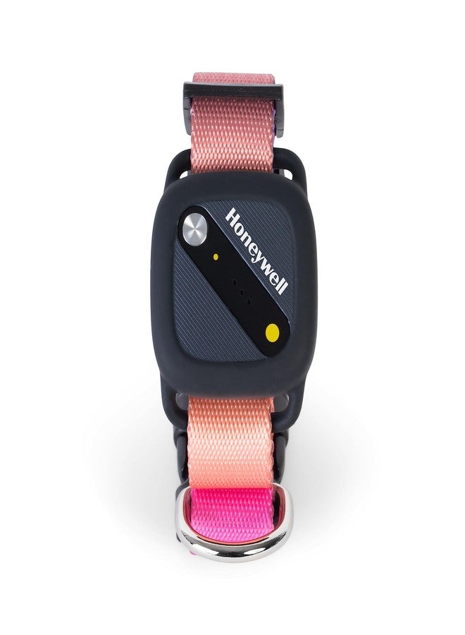 Honeywell Pet Activity Tracker with GPS for Dogs, Gradient- Use Your Collar or Included One-Size-Fits-All Collar- Geo-Fencing, Find-My-Pet Alarm, and Review History- Perfect Dog Fitness Tracker - Image 1