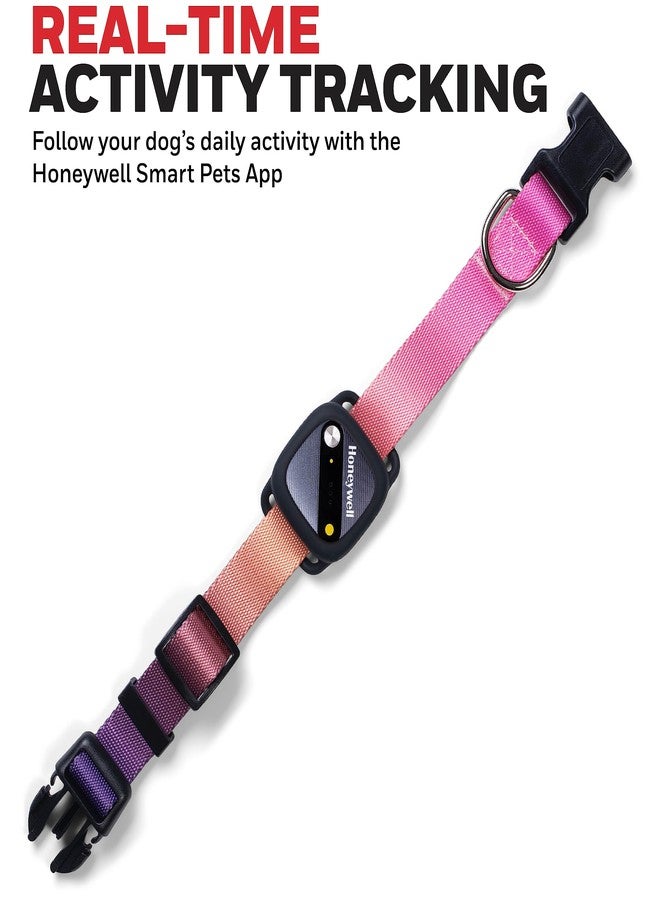 Honeywell Pet Activity Tracker with GPS for Dogs, Gradient- Use Your Collar or Included One-Size-Fits-All Collar- Geo-Fencing, Find-My-Pet Alarm, and Review History- Perfect Dog Fitness Tracker - Image 2