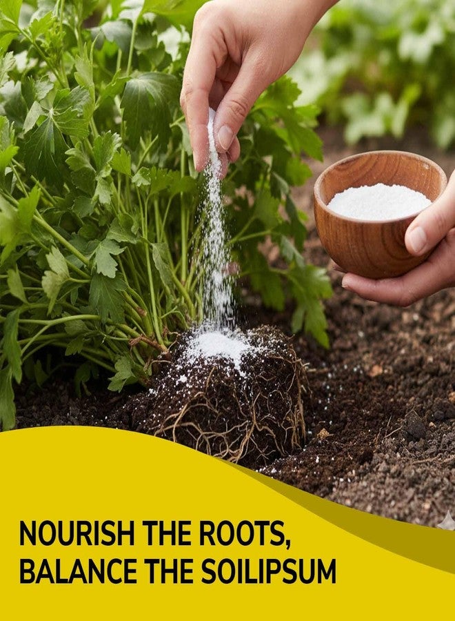 Gachwala Calcium Carbonate Powder 400g | Caco3 for Fish Tank Water Hardness, PH Stabilizer, Aquarium Care, Plant & Soil Support, Chalk & Cosmetic Use, Swimming Pool PH Correction, Industrial Grade - Image 2