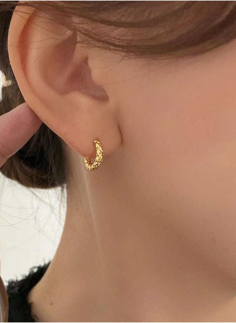 JewelryPalace - 18k Gold Plated Stainless Steel Earrings For Women - Image 1
