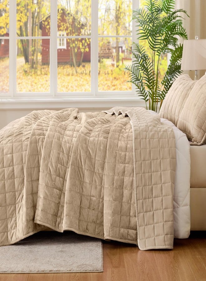 بيديليت طقم لحاف مخملي من بيدلايت، مقاس كوين - طقم لحاف مخملي فاخر مكون من 3 قطع، غطاء سرير كبير الحجم بلون رمادي داكن ناعم ومريح لجميع الفصول مع غطاءين للوسائد. - Image 5