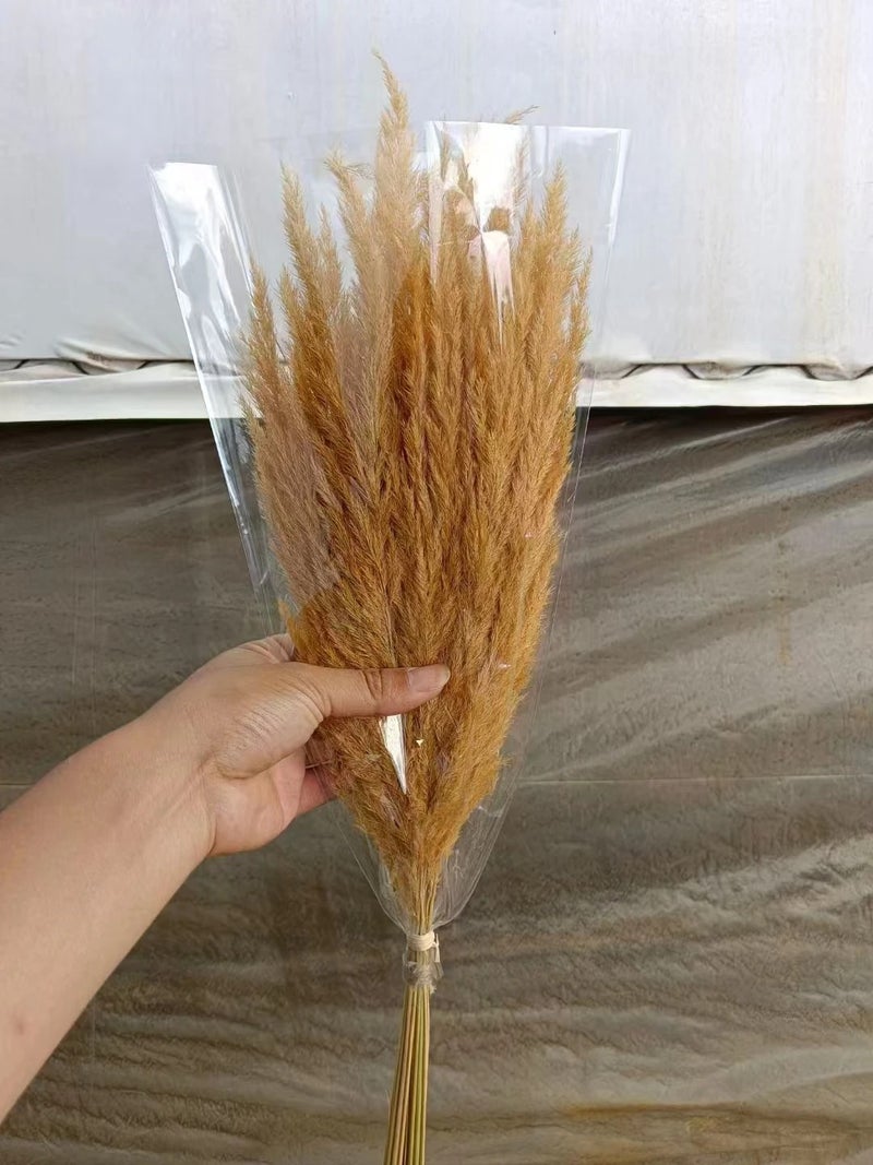 Bluejw Natural Dried Pampas Grass Decor - 30 Stems Golden Small Boho Pampas Dry Flower for Wedding Home Events - Dried Plants Included - Image 5