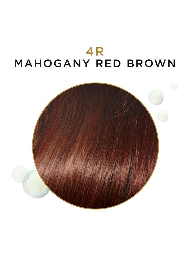 CLAIROL PROFESSIONAL Beautiful Advanced Gray Solutions 4R Mahogany Red Brown 3 Oz - Image 4