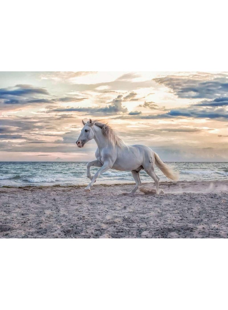 رافنسبورغر رافنسبرغر لغز جولة الغروب – أحجية مكوّنة من ٥٠٠ قطعة للكبار والأطفال بتصميم خيول تجري عند الغروب، بجودة عالية وقطع متناسقة تماماً لوقت ممتع وتعليمي | 12000222-2 - Image 2