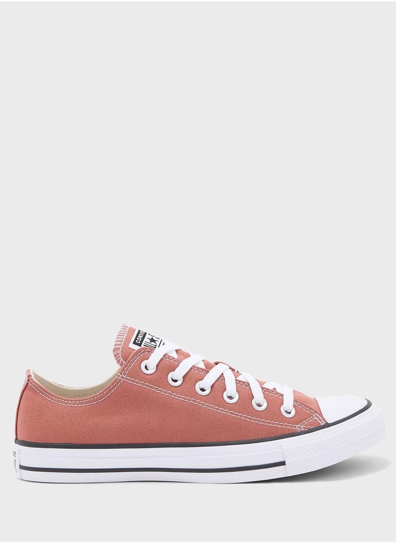 CONVERSE - Chuck Taylor All Star - Image 1