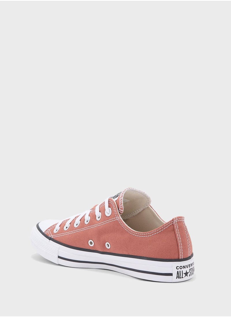 CONVERSE - Chuck Taylor All Star - Image 1