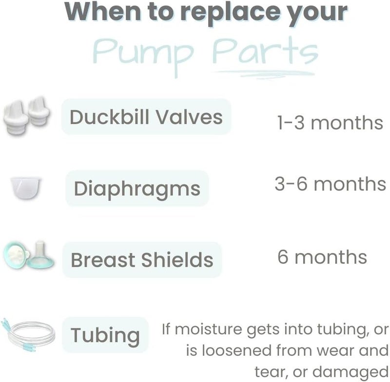 Zomee Double Breast Shield Kit Replacement Set for Z2 Size 24mm Includes; Breast Sheild Body, Diaphragms, Duckbill Valves, Tubes and Adapters & Storage Bottles - Image 5